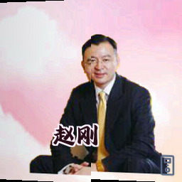 赵刚